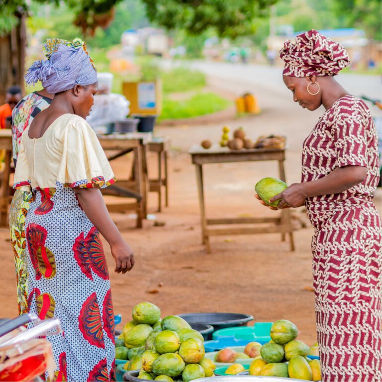 BÉNIN – Nouveau projet « low-tech et production locale pour une autonomisation des femmes dans le département de l’Atacora