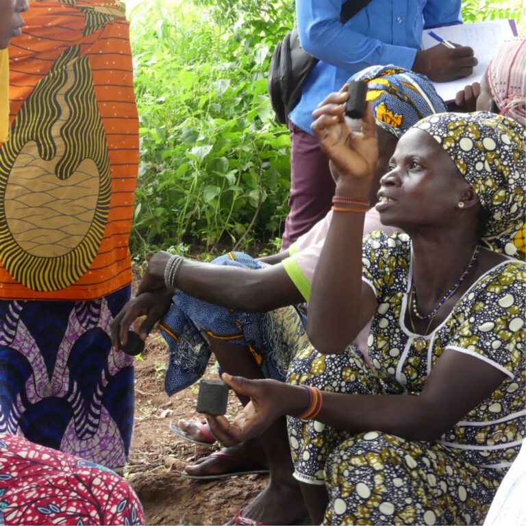 BÉNIN – Bilan du projet « cuiseurs et biocombustibles »