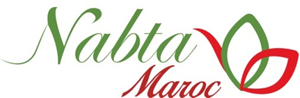 logo-nabta