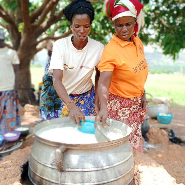 Bilan vidéo de mi-parcours au Bénin